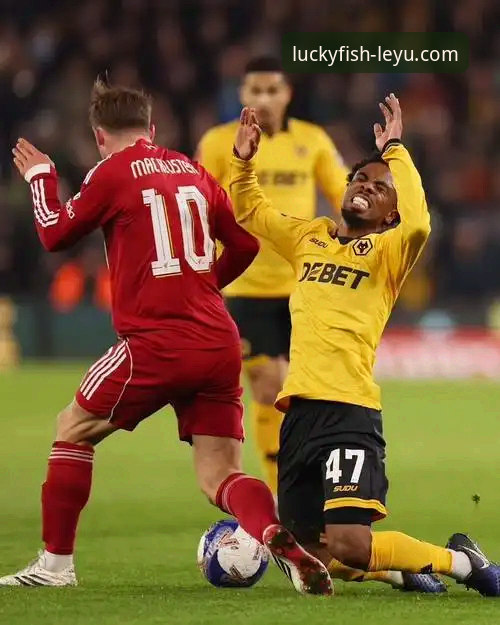 足总杯焦点战复盘：利物浦客场3-1狼队晋级详解