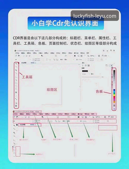 乐鱼体育平台从零开始：详细使用教程与操作指南