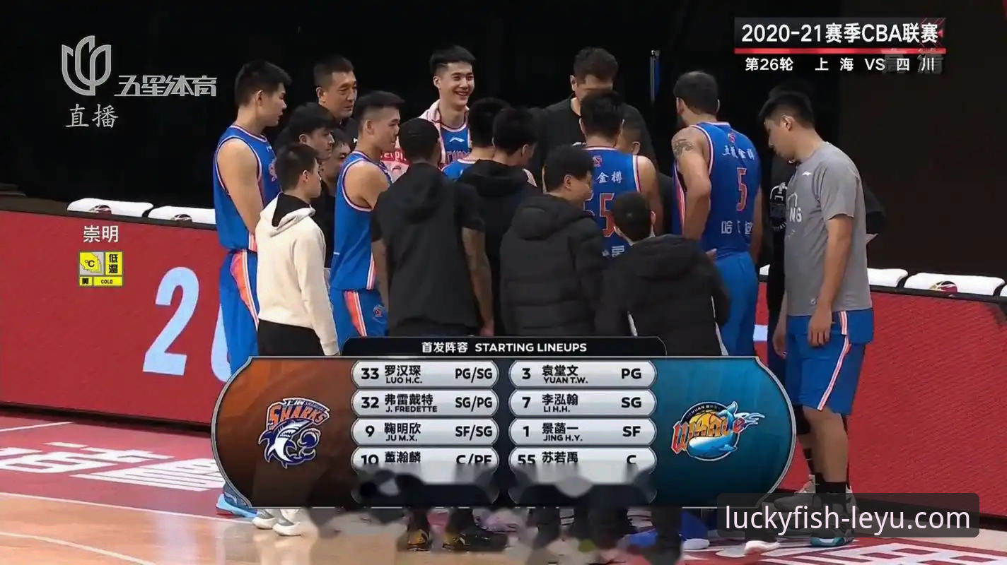 乐鱼体育网站 vs 传统体育平台：新手该如何选择？